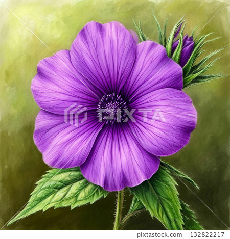Vibrant Purple Flower in Full Bloom Detailed Botanical Illustration 132822217