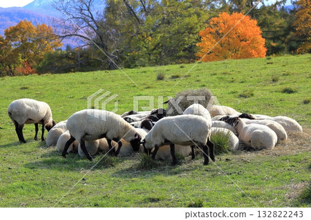 Autumn at Gassan Plateau Ranch 132822243
