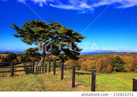 Autumn at Gassan Plateau Ranch Autumn at Gassan Plateau Ranch 132822251