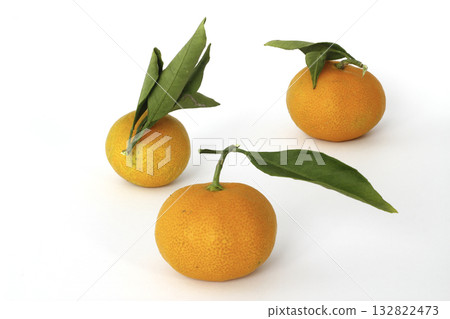 fresh and ripe tangerines with green leaves on a white background fresh and ripe tangerines with green leaves on a white background 132822473