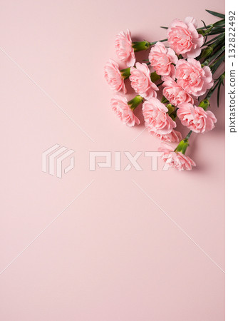 Pink Carnations on Pastel Pink Background 132822492