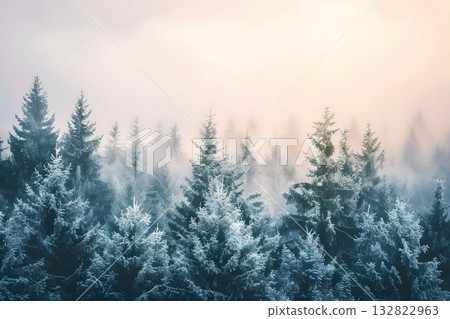Frost-Covered Pine Forest at Sunrise with Soft Mist in Peaceful Winter Landscape Scene Frost-Covered Pine Forest at Sunrise with Soft Mist in Peaceful Winter Landscape Scene 132822963