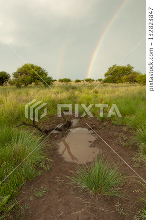 Rural landscape and rainbow,Buenos Aires province , Argentina 132823847