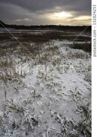 Saltpeter on the floor of a lagoon in a semi desert environment, La Pampa province, Patagonia, Argentina. Saltpeter on the floor of a lagoon in a semi desert environment, La Pampa province, Patagonia, Argentina. 132824255