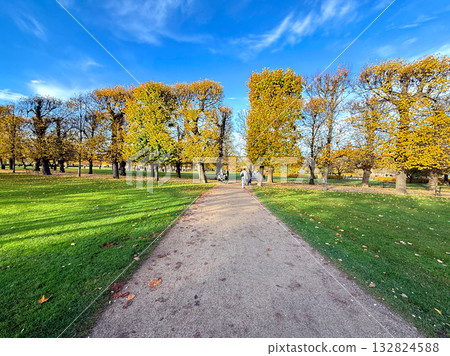 Autumn path in Kings Garden with blue sky, Copenhagen, Denmark Autumn path in Kings Garden with blue sky, Copenhagen, Denmark 132824588