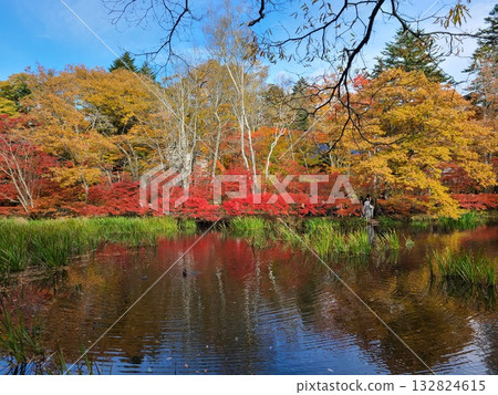Kumonba Pond Kumonba Pond 132824615