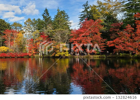 Kumonba Pond Kumonba Pond 132824616
