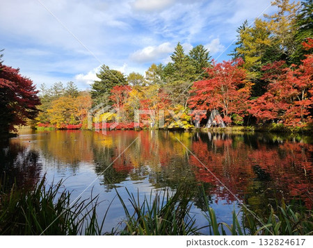 Kumonba Pond Kumonba Pond 132824617