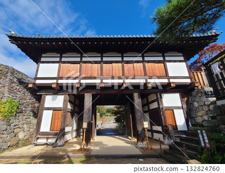 Otemon Gate of Komoro Castle Ruins 132824760