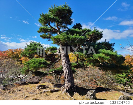 小諸城遺址，城樓基座 132824763