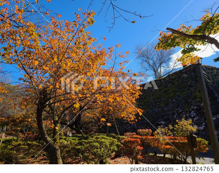 Komoro Castle ruins castle tower base Komoro Castle ruins castle tower base 132824765