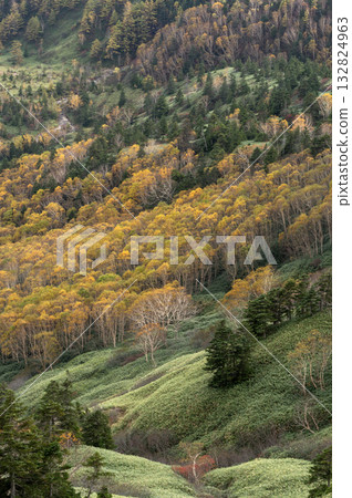 The autumn leaves of the Shiga Kogen mountainside as seen from Shibu Pass 132824963