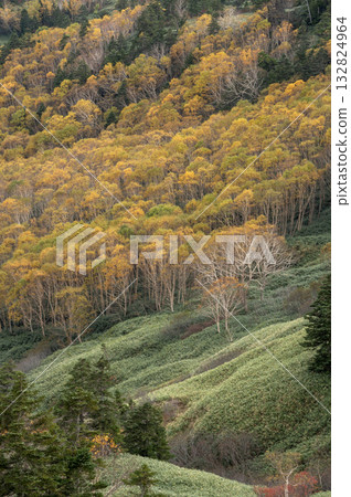 The autumn leaves of the Shiga Kogen mountainside as seen from Shibu Pass The autumn leaves of the Shiga Kogen mountainside as seen from Shibu Pass 132824964