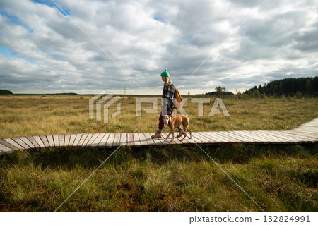 Female hiker walking with dog on ecological trail over raised sphagnum bog at wild autumn wetland. 132824991
