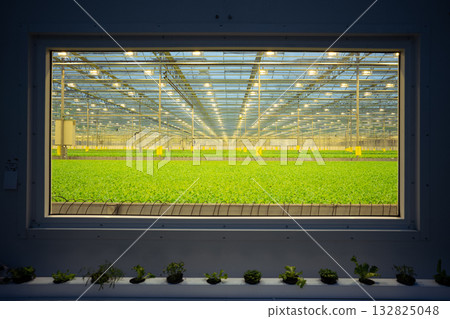 Window from laboratory to greenhouse with fields and irrigation system. Watering control, monitoring 132825048