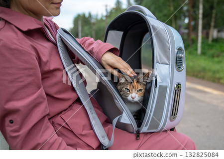 Young woman exploring nature with her pet on weekend, domestic cat sitting in kitty carrier backpack 132825084