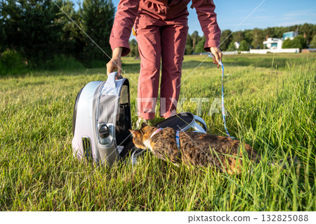 Woman hiker on a daily walk outdoors with her pet, domestic cat climbs in carrier, ready to go home. 132825088