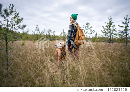Woman owner walking with Vizsla dog through autumn peat bog surrounded by dry tall grasses Woman owner walking with Vizsla dog through autumn peat bog surrounded by dry tall grasses 132825226