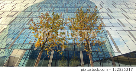 Office building. Glass skyscrapers in business center. Architecture, commercial real estate 132825317