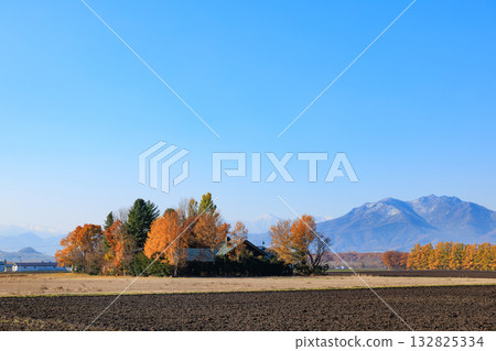 Tokachi Plain after the harvest season Tokachi Plain after the harvest season 132825334