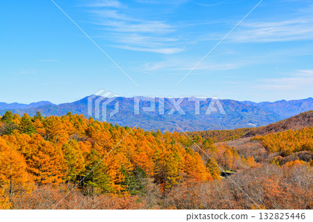 從山口可以看到童話公路沿途的山脈和秋天的落葉松。 從山口可以看到童話公路沿途的山脈和秋天的落葉松。 132825446