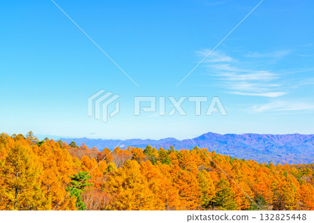 從山口可以看到童話公路沿途的山脈和秋天的落葉松。 從山口可以看到童話公路沿途的山脈和秋天的落葉松。 132825448