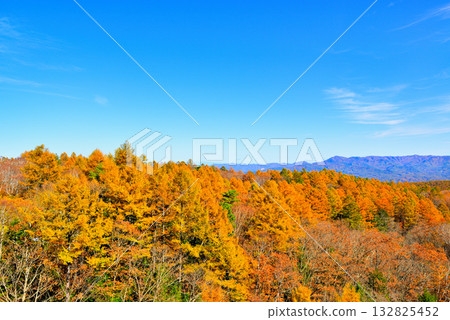 從山口可以看到童話公路沿途的山脈和秋天的落葉松。 132825452