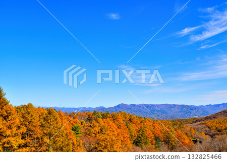 從山口可以看到童話公路沿途的山脈和秋天的落葉松。 從山口可以看到童話公路沿途的山脈和秋天的落葉松。 132825466