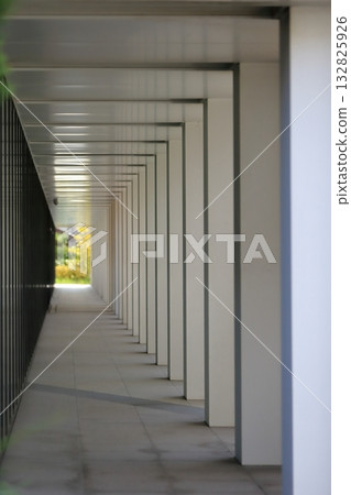 連綿不斷的石柱構成的景觀 132825926