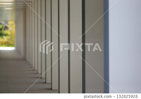 連綿不斷的石柱構成的景觀 132825928