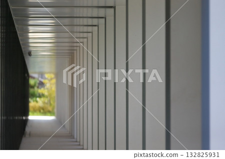 連綿不斷的石柱構成的景觀 132825931