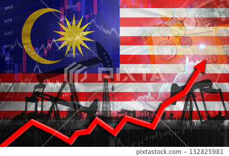 Oil production with Malaysia flag, petrol industry. Oil pumps with Malaysian flag 132825981