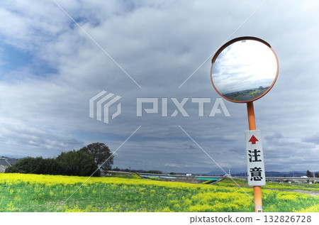 Convex mirror and rape blossoms 132826728
