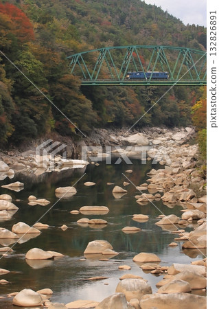 A freight train (81 train) pulled by EF64-1025 runs through the Kisoji road, dyed in autumn leaves. Photographed on November 2, 2025. A freight train (81 train) pulled by EF64-1025 runs through the Kisoji road, dyed in autumn leaves. Photographed on November 2, 2025. 132826891