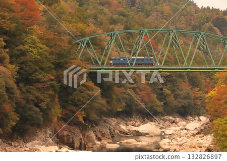 A freight train (81 train) pulled by EF64-1025 runs through the Kisoji road, dyed in autumn leaves. Photographed on November 2, 2025. 132826897