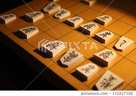 第73屆將棋大座錦標賽第五局的紀錄 132827188