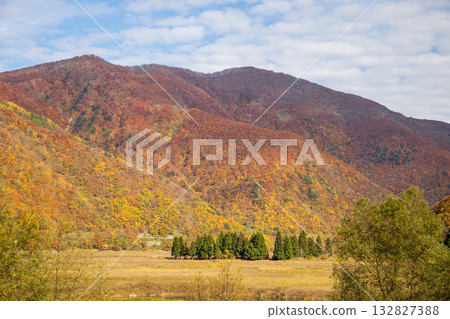 岩手縣西和賀町的秋葉 岩手縣西和賀町的秋葉 132827388
