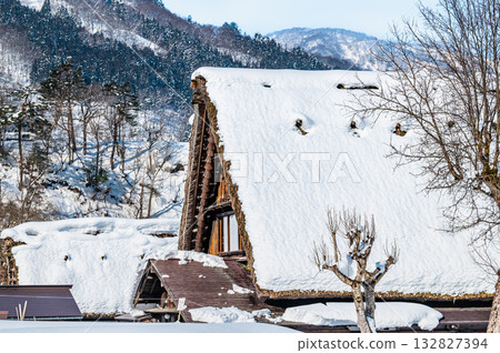 白川鄉和田家宅被雪掩埋 白川鄉和田家宅被雪掩埋 132827394