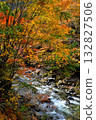 群馬縣照羽峽的秋葉 132827506