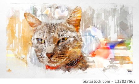 素描 風格 貓 貓 貓 kijitora 灰色 女 女 母貓 母貓 健康 漂亮 癒合 132827662