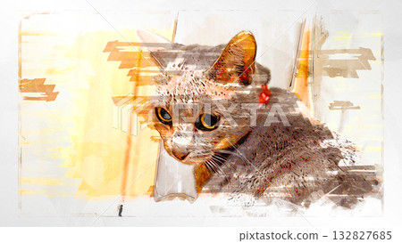 sketch style cat cat cat kijitora gray female female female cat female cat healthy pretty healing 132827685