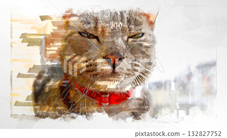 sketch style cat cat cat kijitora gray female female female cat female cat healthy pretty healing sketch style cat cat cat kijitora gray female female female cat female cat healthy pretty healing 132827752