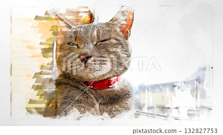 sketch style cat cat cat kijitora gray female female female cat female cat healthy pretty healing 132827753