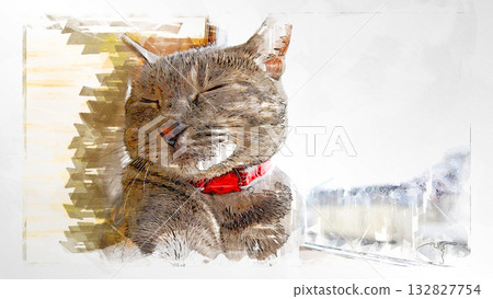 sketch style cat cat cat kijitora gray female female female cat female cat healthy pretty healing 132827754