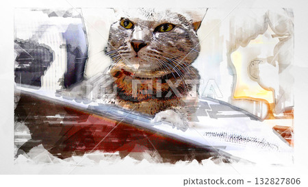 素描 風格 貓 貓 貓 kijitora 灰色 女 女 母貓 母貓 健康 漂亮 癒合 素描 風格 貓 貓 貓 kijitora 灰色 女 女 母貓 母貓 健康 漂亮 癒合 132827806