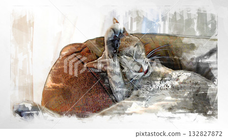 sketch style cat cat cat kijitora gray female female female cat female cat healthy pretty healing sketch style cat cat cat kijitora gray female female female cat female cat healthy pretty healing 132827872