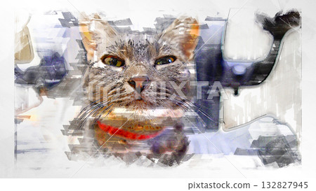 sketch style cat cat cat kijitora gray female female female cat female cat healthy pretty healing 132827945