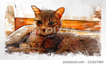 sketch style cat cat cat kijitora gray female female female cat female cat healthy pretty healing 132827964