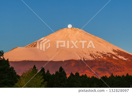 珍珠富士 珍珠富士 132828097