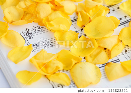 黃色的玫瑰花瓣散落在鋼琴樂譜上 132828231